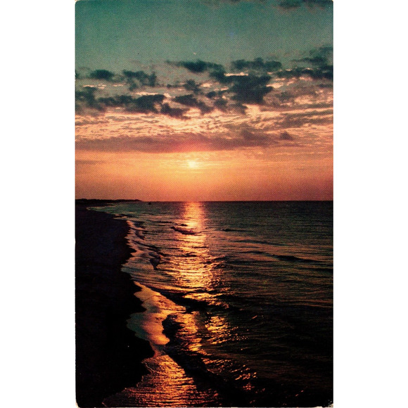 Other - Postcard scenic sunset in Florida
